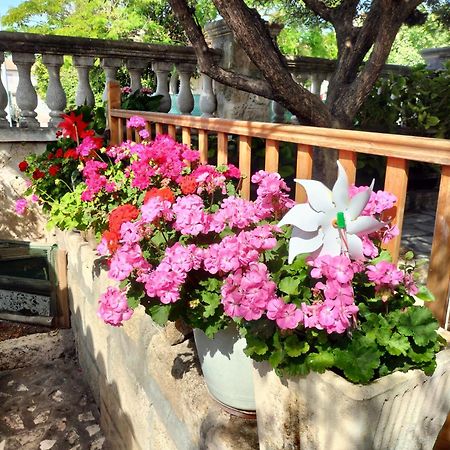 Charmant Appart Avec Jardin Aigues-Mortes Esterno foto