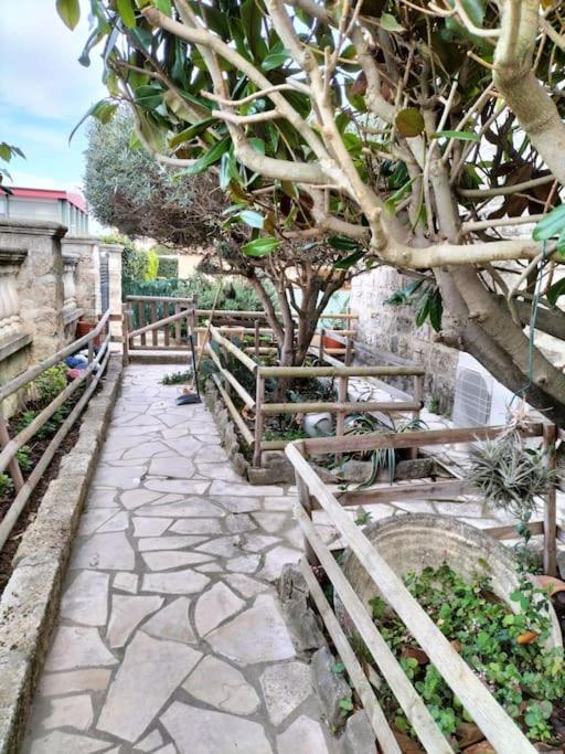 Charmant Appart Avec Jardin Aigues-Mortes Esterno foto