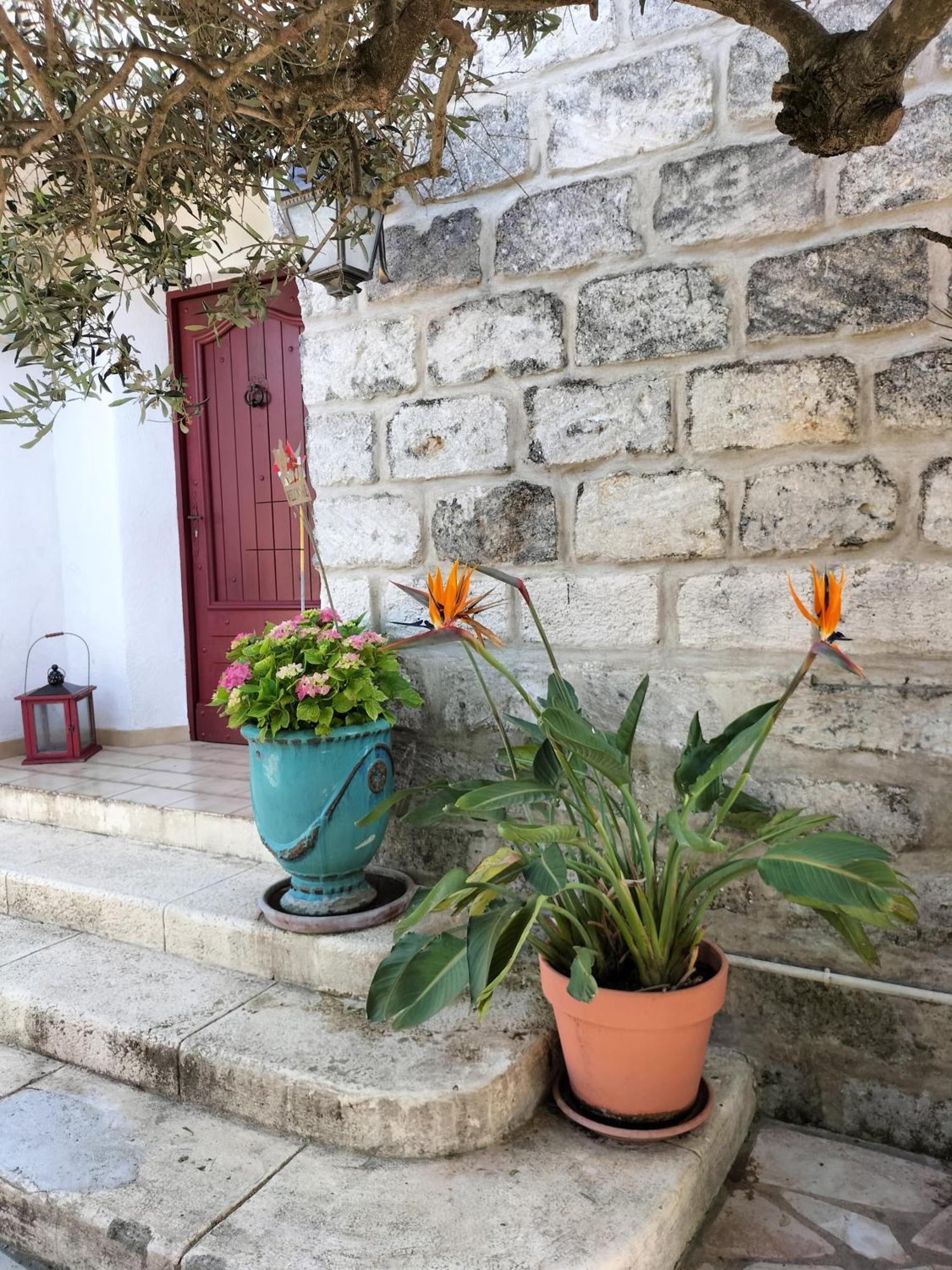 Charmant Appart Avec Jardin Aigues-Mortes Esterno foto